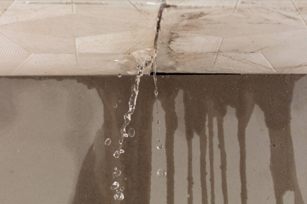 Professional Water Extraction technician working in Zirconia, NC